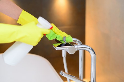 Professional pet stain odour removal in an Ealing living room carpet
