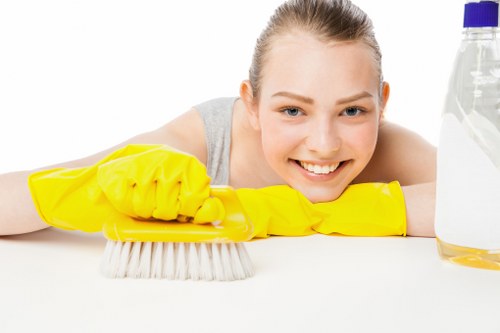 Detailed carpet cleaning process showing care for fibres and finishes