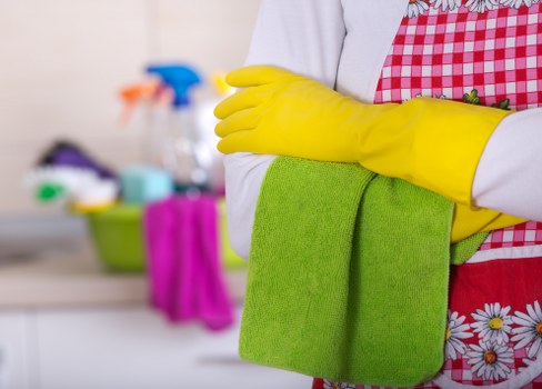 Specialist enzyme cleaning for pet odour removal on carpet in Ealing