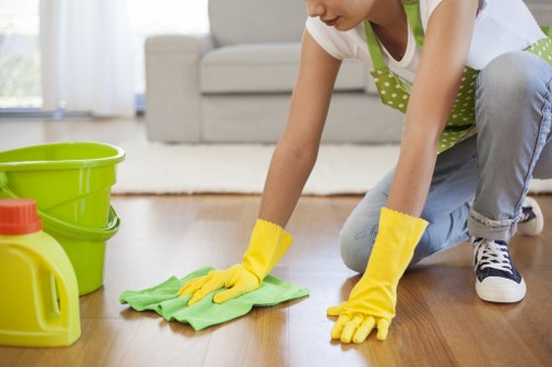 Stain removal and upholstery care for a fabric sofa